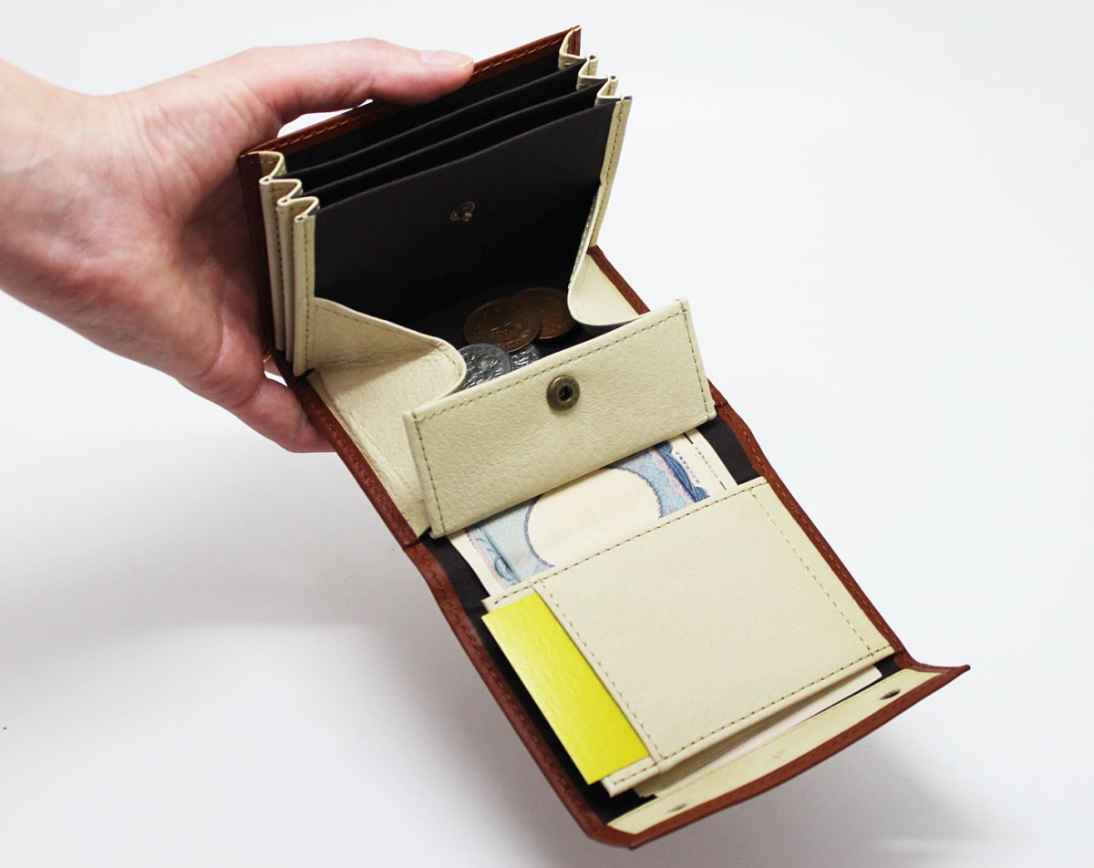 画像4: ｍ＋　ミッレフォッリエIIP25　 ※ご購入条件あり (4)