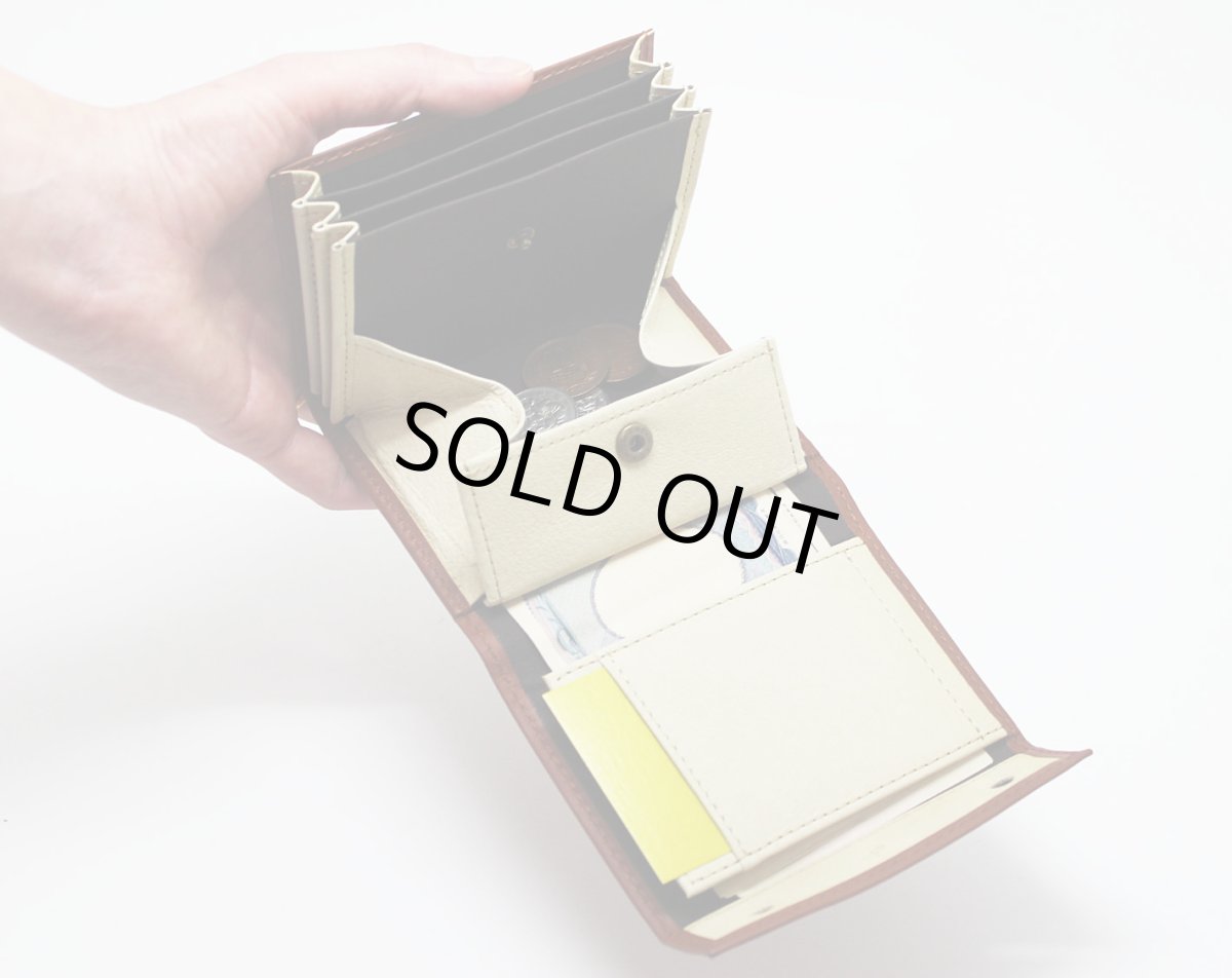 画像4: ｍ＋　ミッレフォッリエIIP25　 ※ご購入条件あり (4)