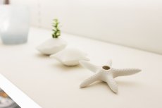 画像2: Pebble Ceramic Design Studio　 シェルベース (2)