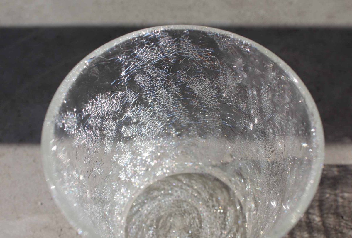 画像6: 100percent　 SECCA グラス (6)