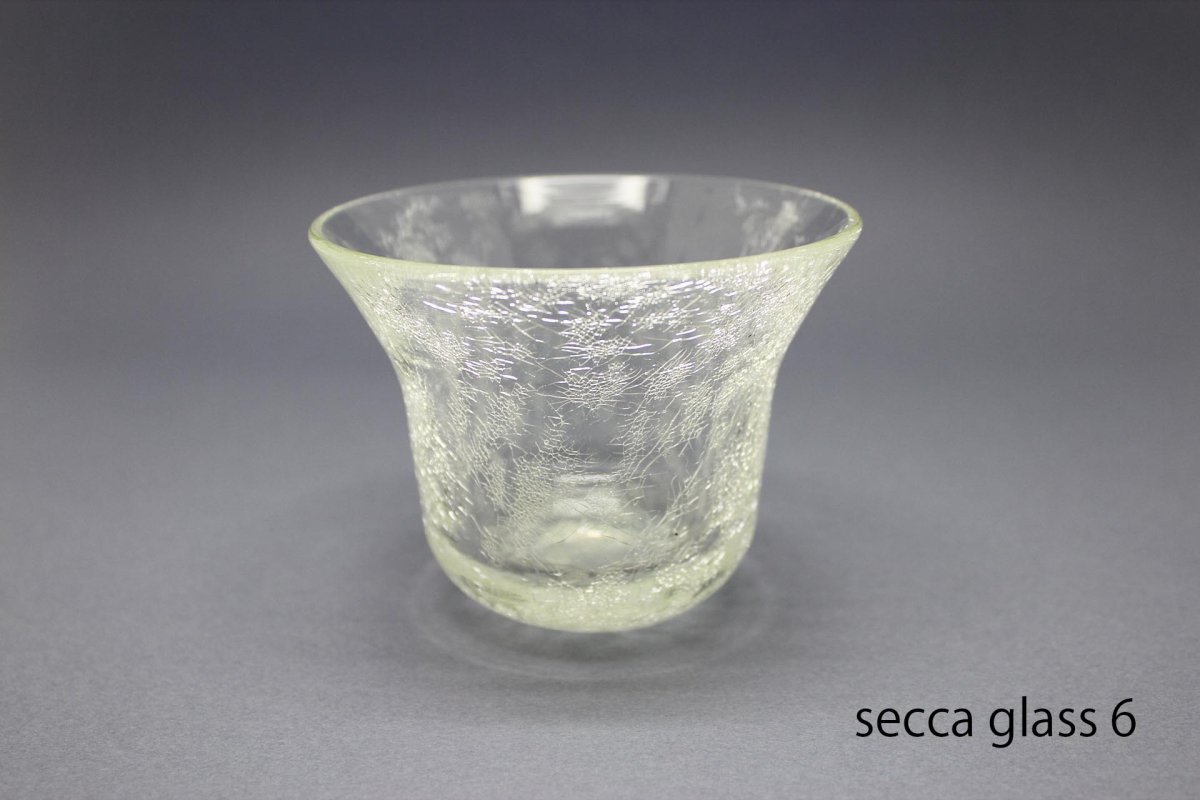 画像5: 100percent　 SECCA グラス (5)