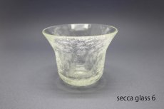 画像5: 100percent　 SECCA グラス (5)