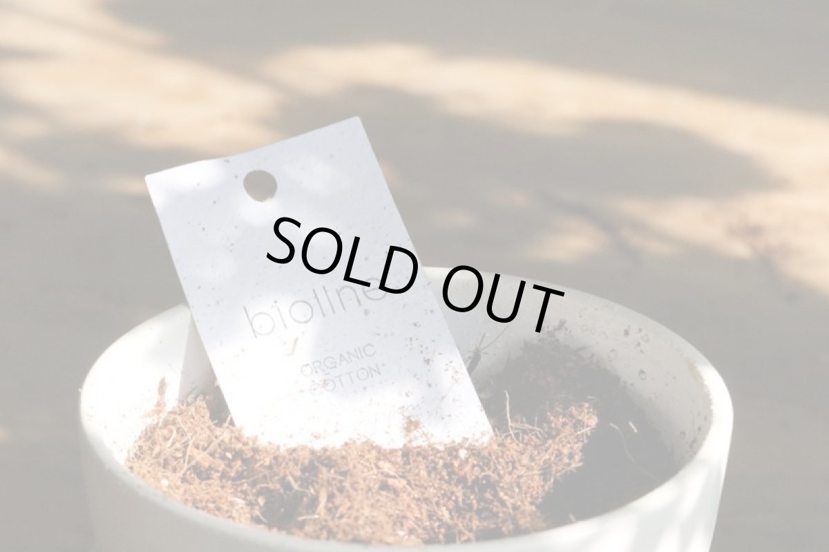 画像9: biollne　 ふんわりリブ編みソックス (9)