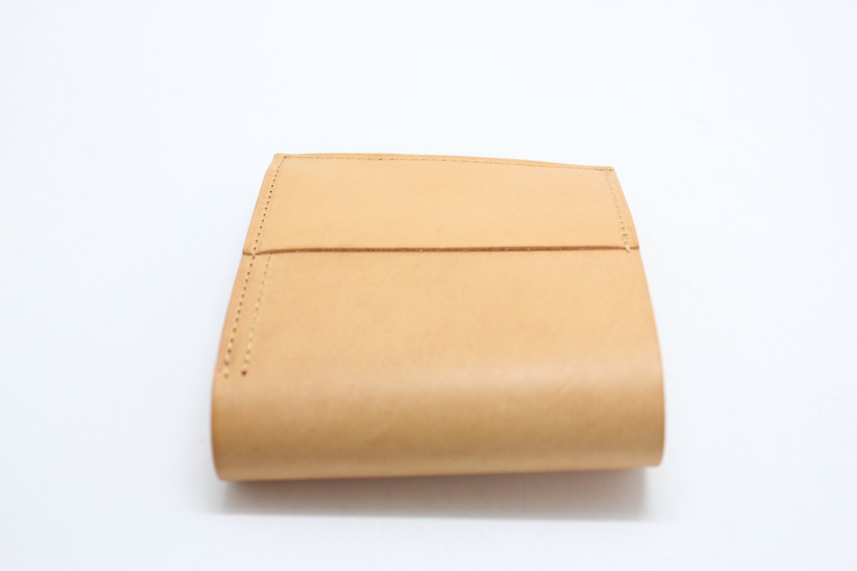 画像11: ｍ＋　ピアストラII (11)